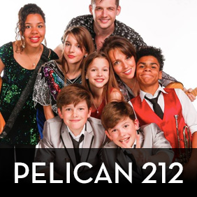 Pelican 212