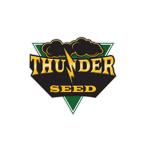 Thunder Seed